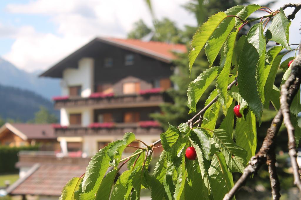 Ferienwohnungen Monja Und Dietmar Thoeni Arzl im Pitztal Ngoại thất bức ảnh